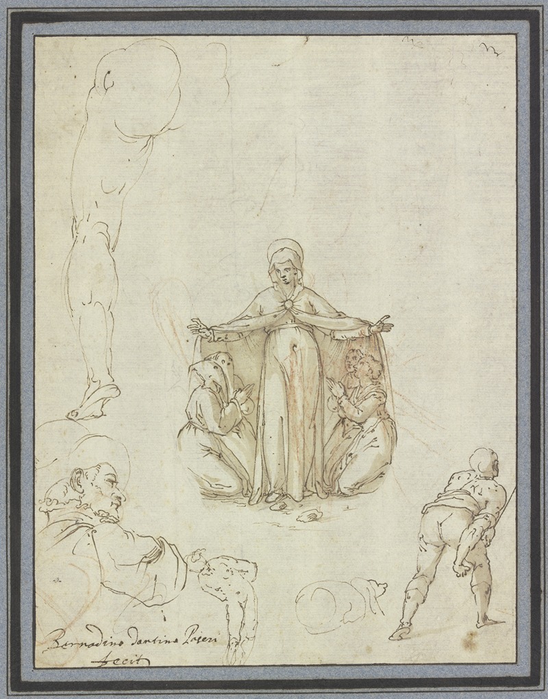 Schutzmantelmadonna und Einzelstudien by Bernardino Passeri — digital art print download