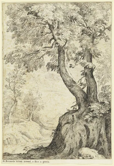 Tree section by Domenico Bernardo Zilotti — digital art print download