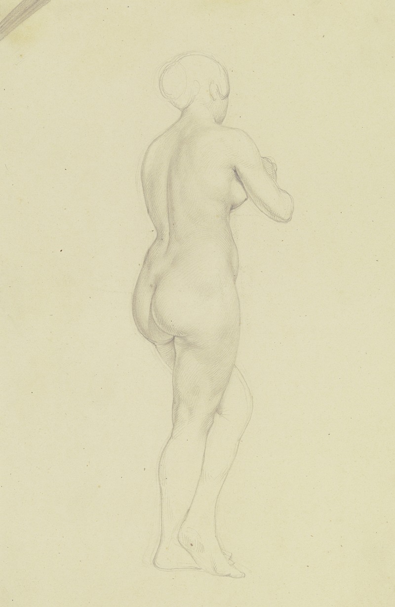 Female nude from behind by Бонавентура Дженелли — digital art print download