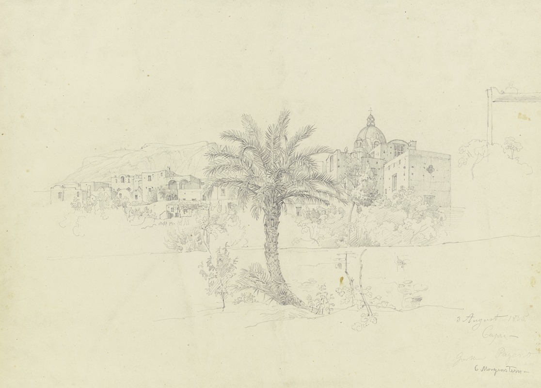 Im Garten von Pagano auf Capri — Carl Morgenstern