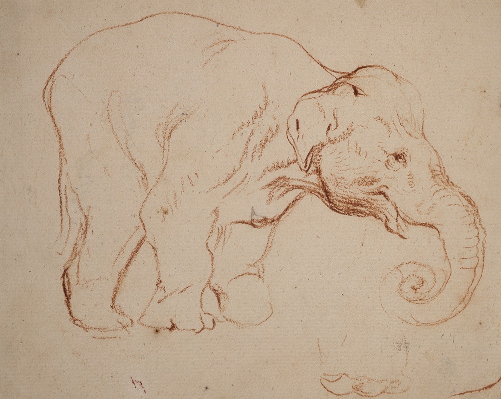 Standing elephant by Даниэль Николай Ходовецкий, 1792 — digital art print download