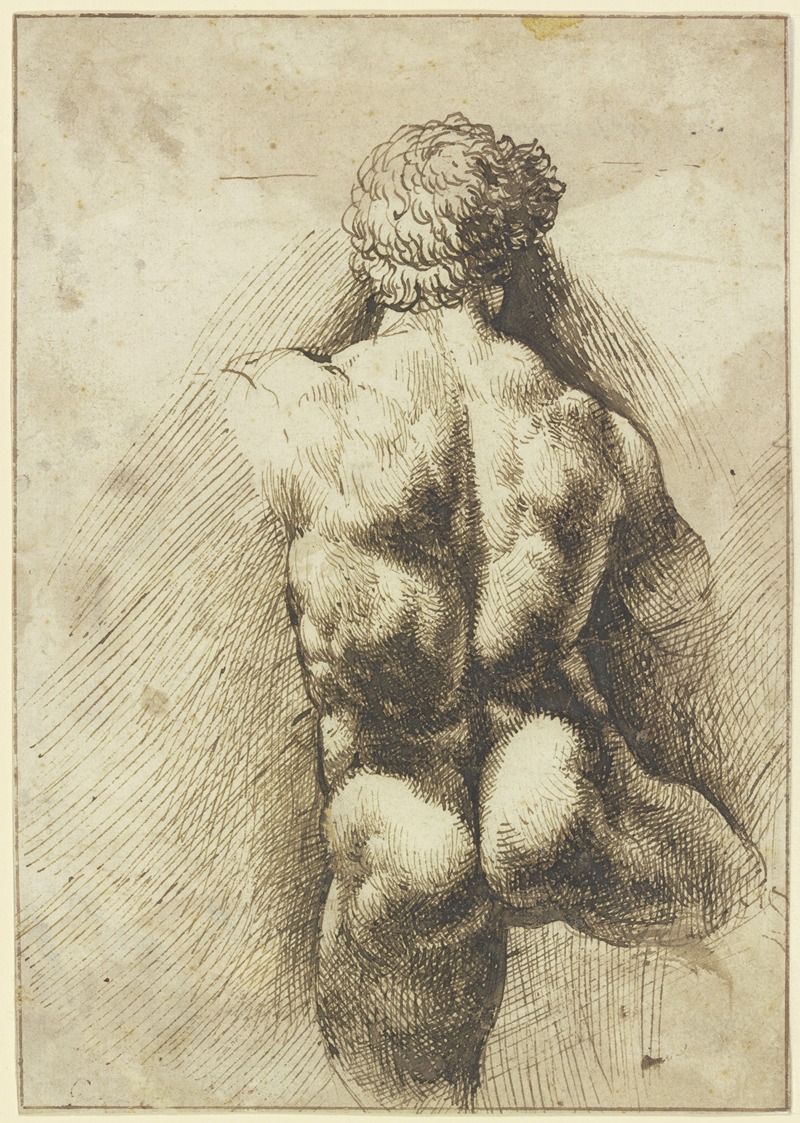 Männlicher Rückenakt, Torso by Domenico Campagnola — digital art print download