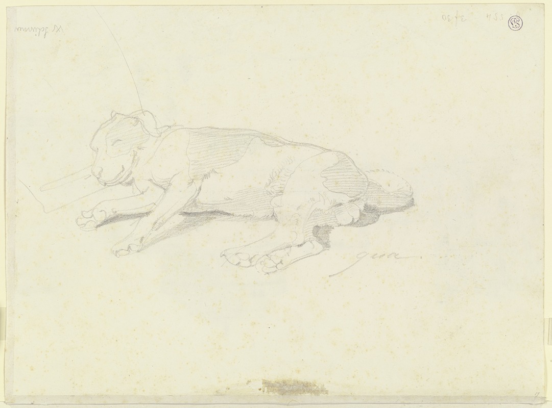 Auf der Seite liegender Hund — Ernst Fries