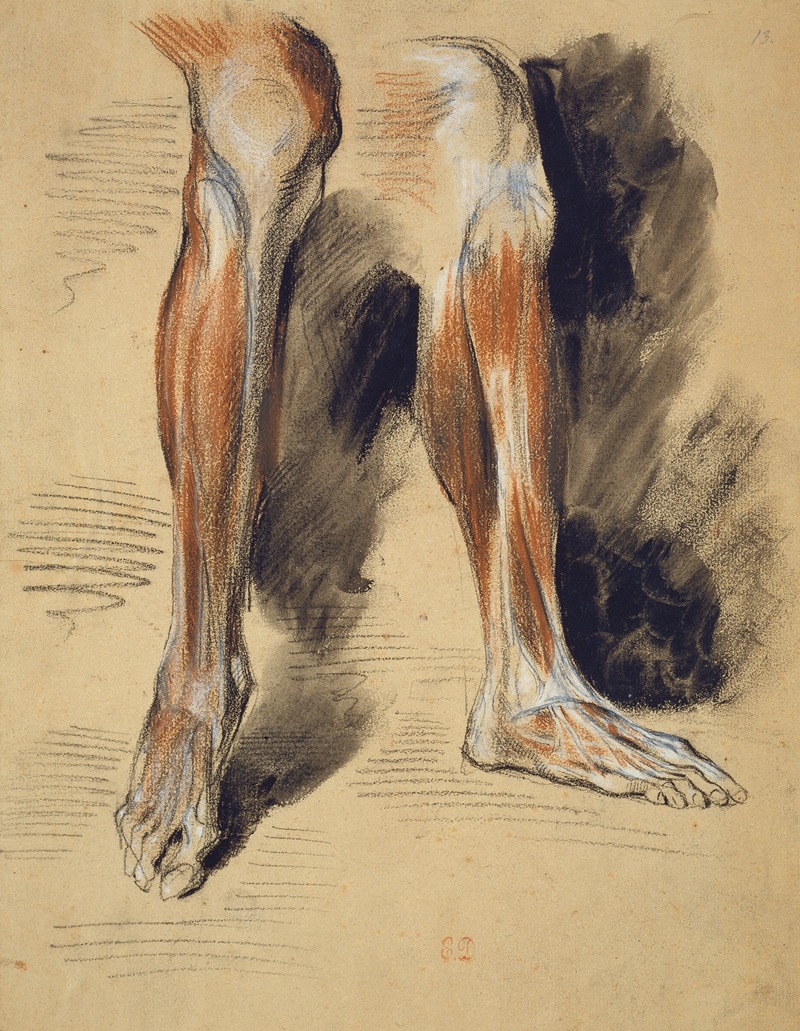 Studies of a right Leg by Eugène Delacroix — digital art print download
