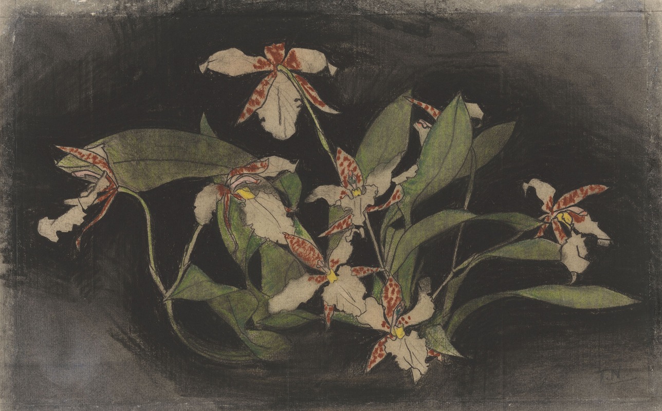 Bloeiende orchideeëntak by Theo Nieuwenhuis, 1876 - 1951 — digital art print download