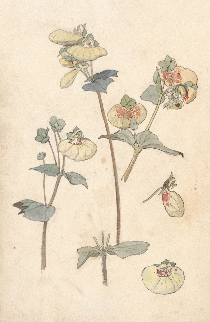 Bloemstudies by Тео Нивенхейс, 1876 - 1951 — digital art print download