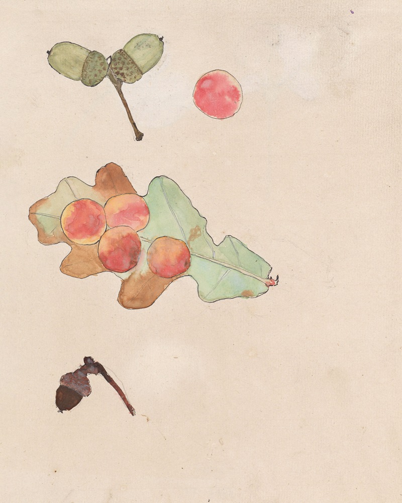 Eikenblad met gallen en eikels by Тео Нивенхейс, 1876 - 1951 — digital art print download