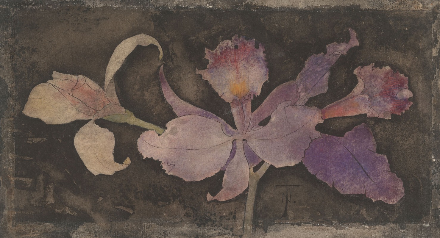 Paarse orchidee by Theo Nieuwenhuis, 1876 - 1951 — digital art print download