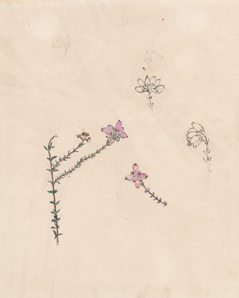 Takje met roze knoppen — Theo Nieuwenhuis