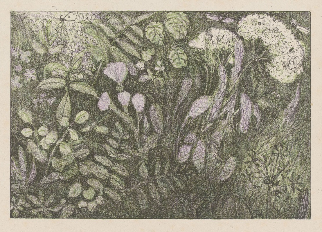Bloemen en planten — Тео ван Хойтема