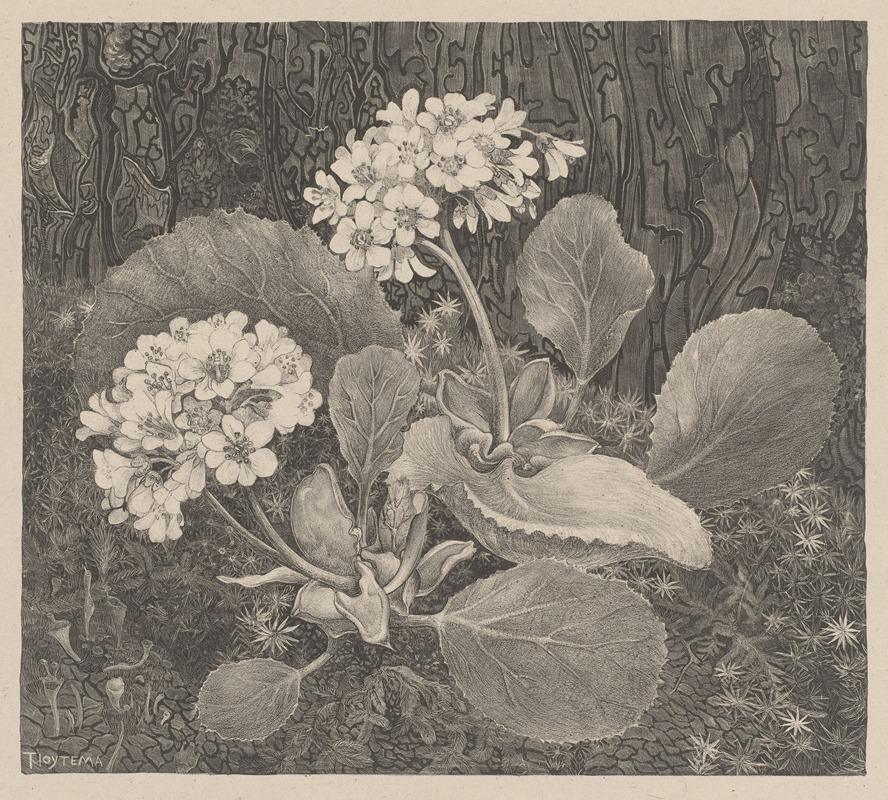 Primula in het mos by Тео ван Хойтема, c. 1898 — digital art print download