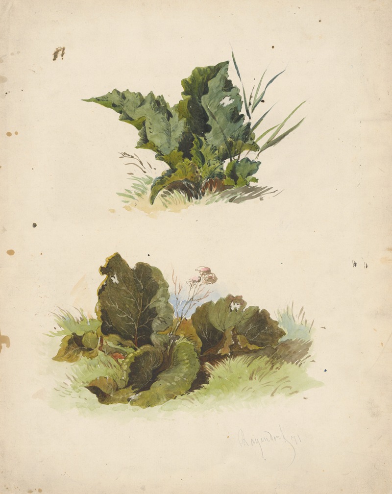 Study of Broadleaved Plants by Фридрих Карл фон Шейдлин, 1871 — digital art print download
