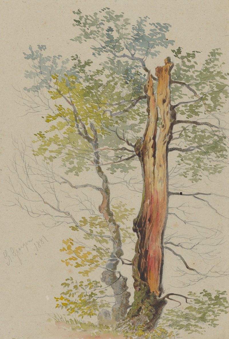 Study of Old and Young Tree by Фридрих Карл фон Шейдлин — digital art print download