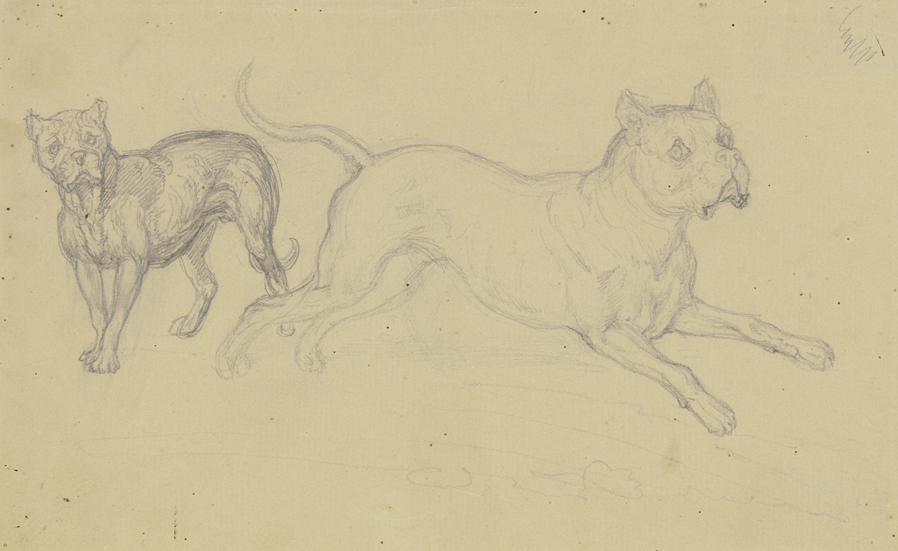 Stehender und nach rechts springender Hund — Фердинанд Фелльнер