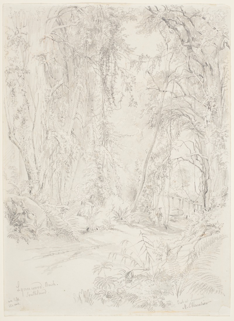 Bush at Lynwood, Southland — Nicholas Chevalier