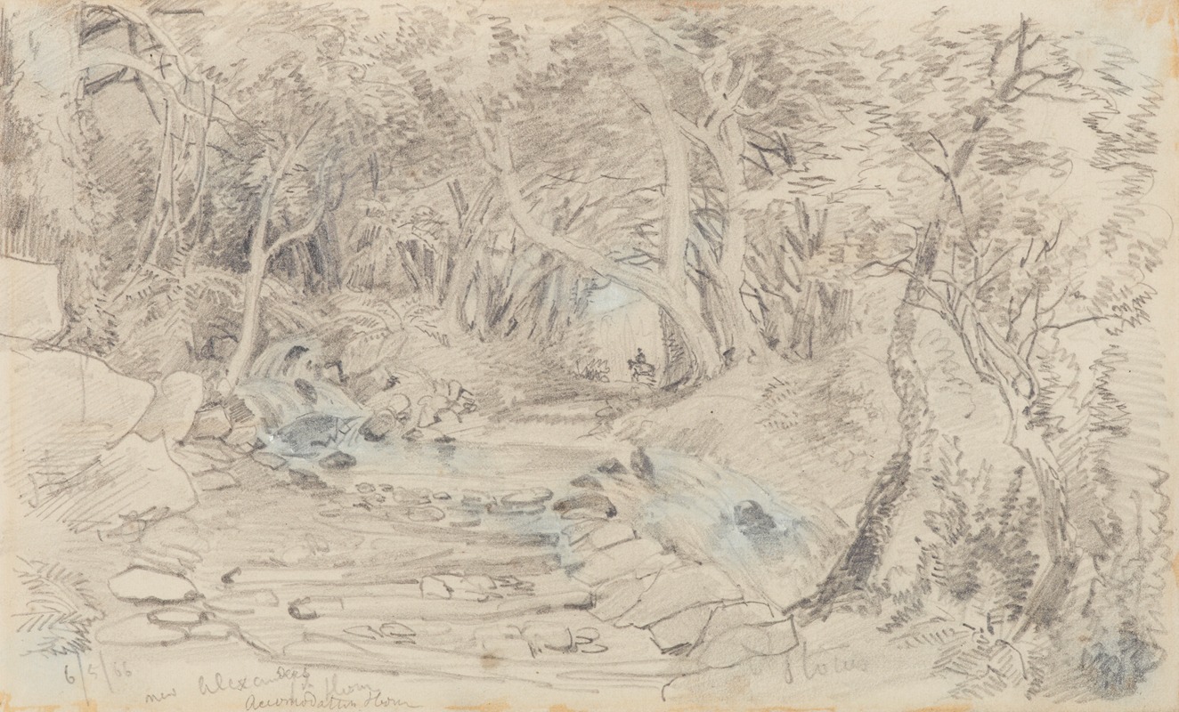 Near Alexander's accommodation house by Nicholas Chevalier, 1866 — digital art print download