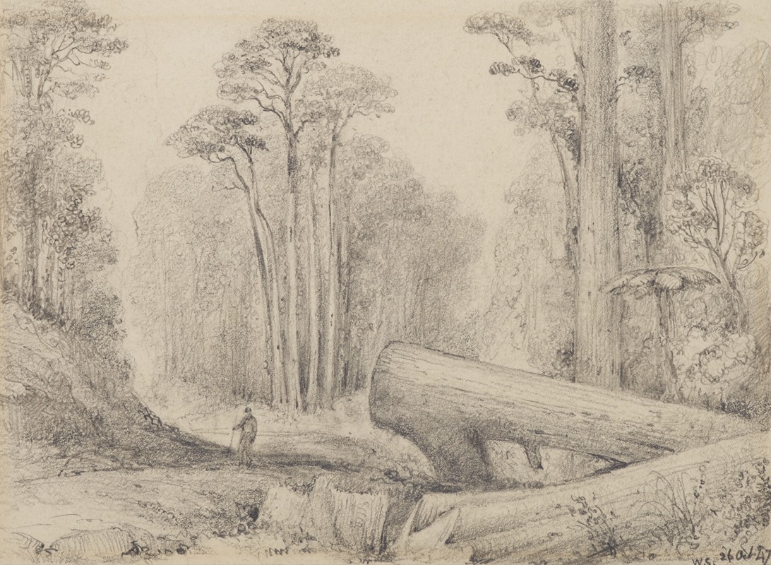Hutt Road, round the first gorge, looking down by William Swainson, 1847 — digital art print download