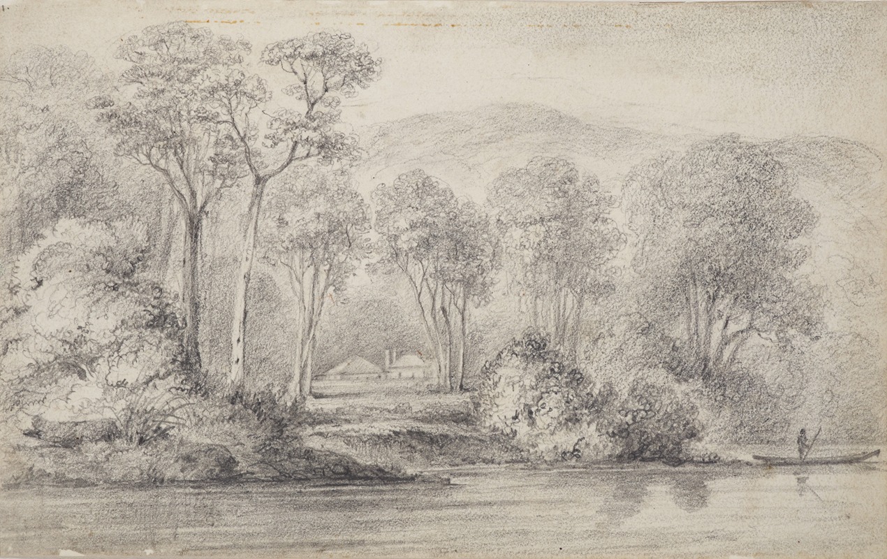 Newry, Mr Molesworth's, River Hutt by William Swainson, 1844 — digital art print download