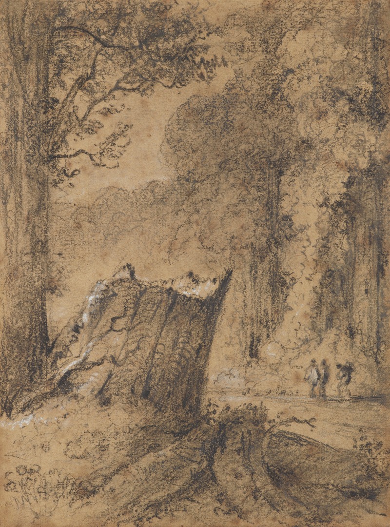 Road through the Hutt Forest, N.Z by William Swainson, 1846 — digital art print download
