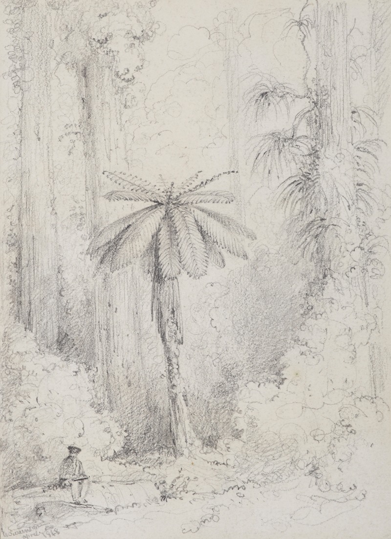 Silver leaved fern, Hutt forest by William Swainson, 1848 — digital art print download