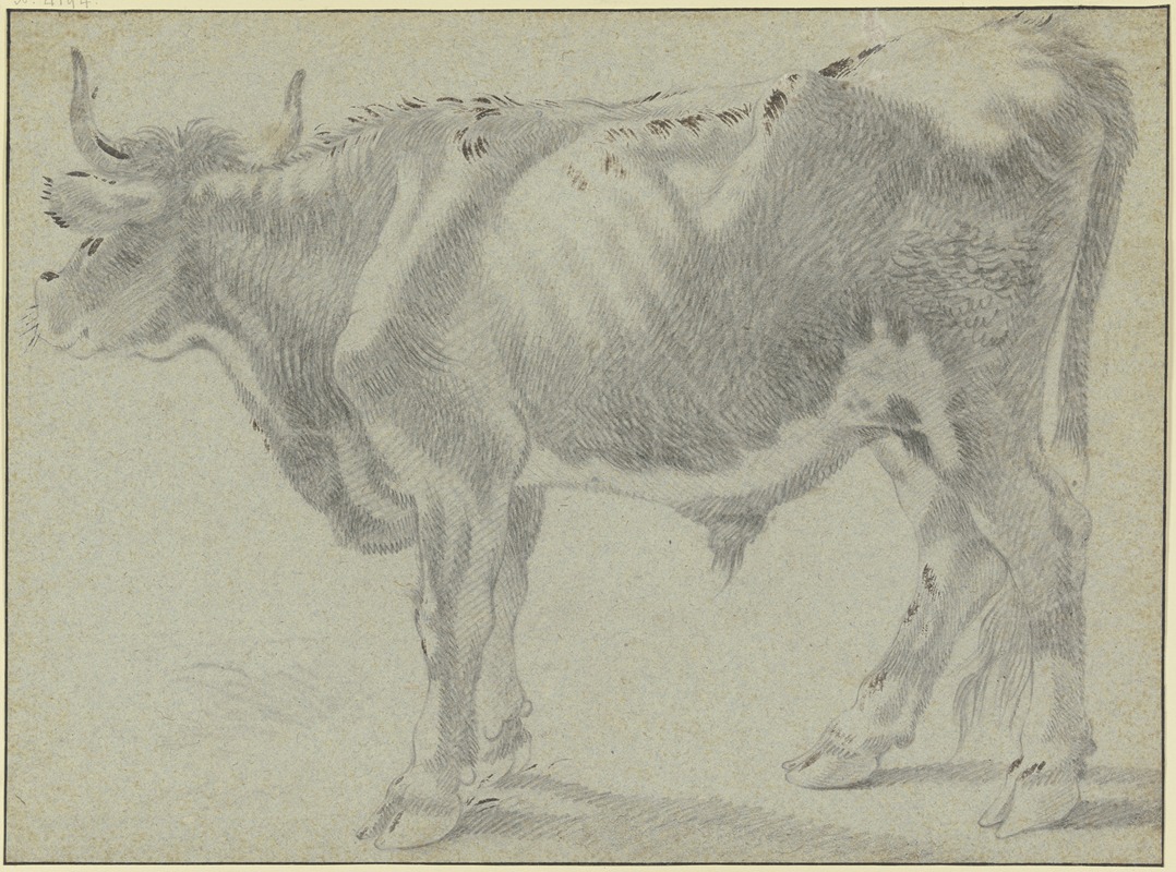 Ox looking to the left by Francesco Londonio — digital art print download