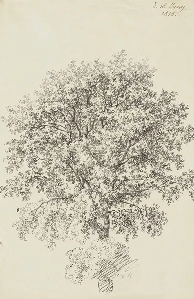 Laubbaum by Франц Теобальд Хорни, 1815 — digital art print download