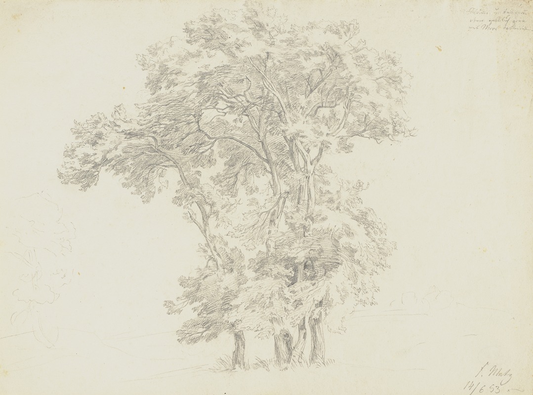 Group of trees by Friedrich Metz, 1853 — digital art print download