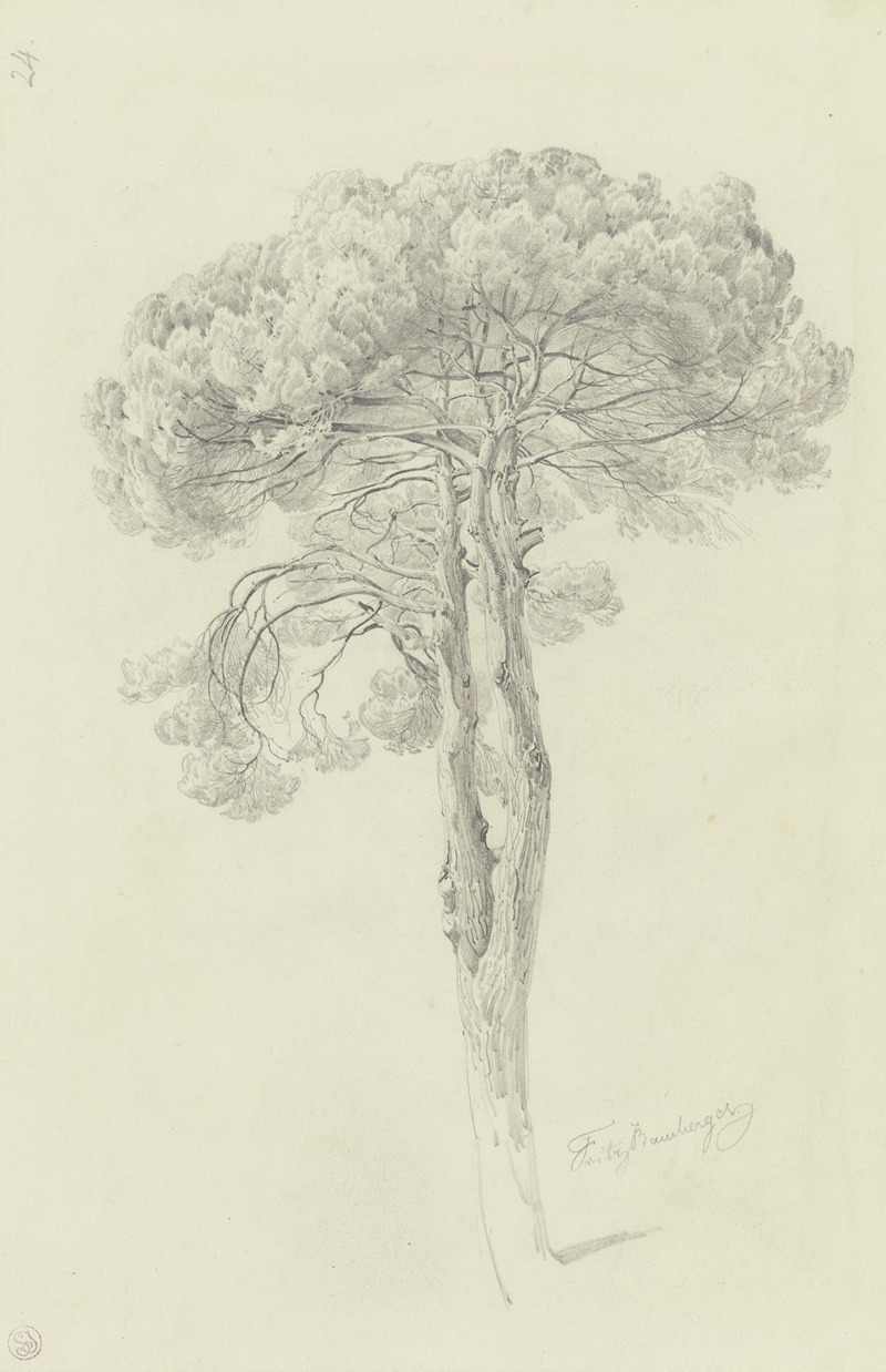 A pine by Fritz Bamberger — digital art print download