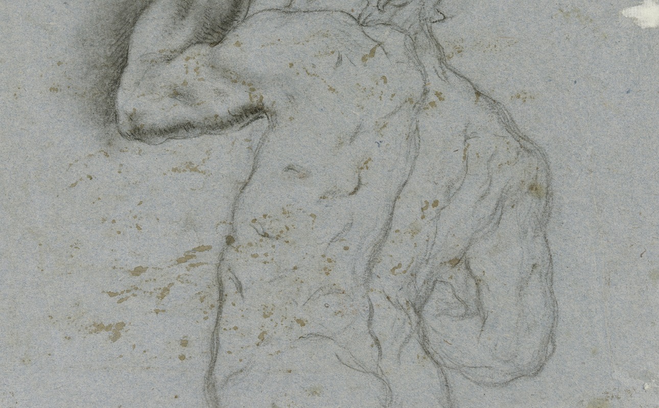 Male nude from behind by Gaspare Diziani — digital art print download