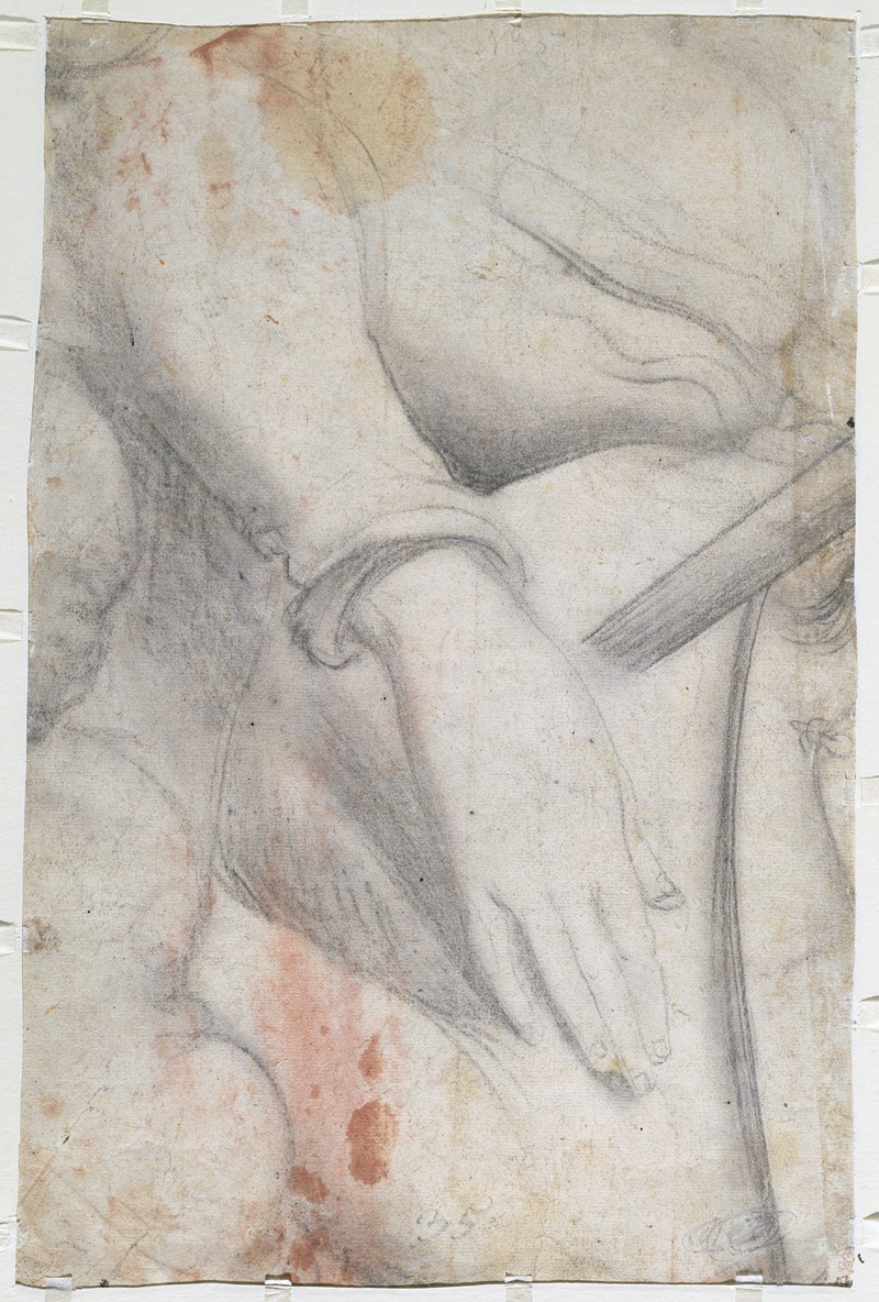 Schmerzenreiche Maria (Fragment) — Ханс Бальдунг