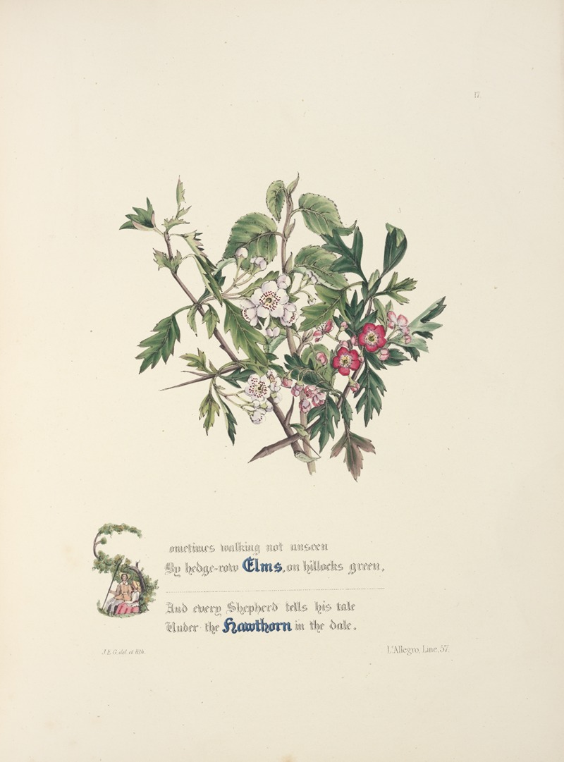 Elms and hawthorns by Jane Elizabeth Giraud, 1846 — digital art print download
