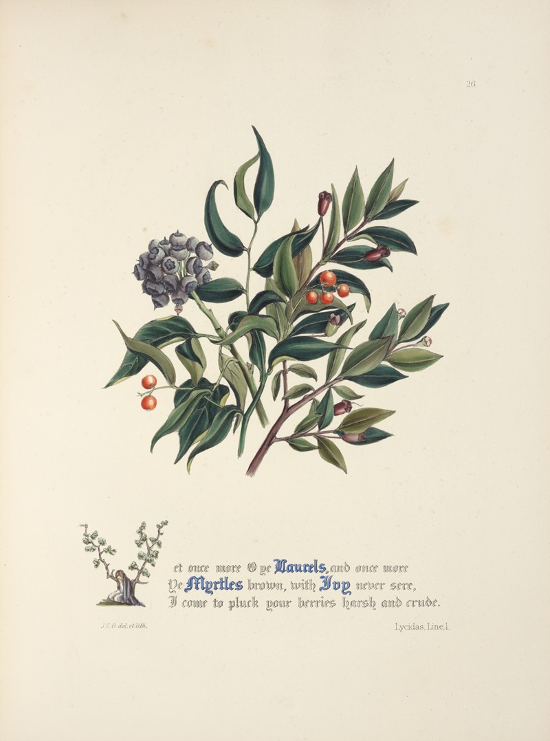 Laurels, myrtles and ivy by Jane Elizabeth Giraud, 1846 — digital art print download