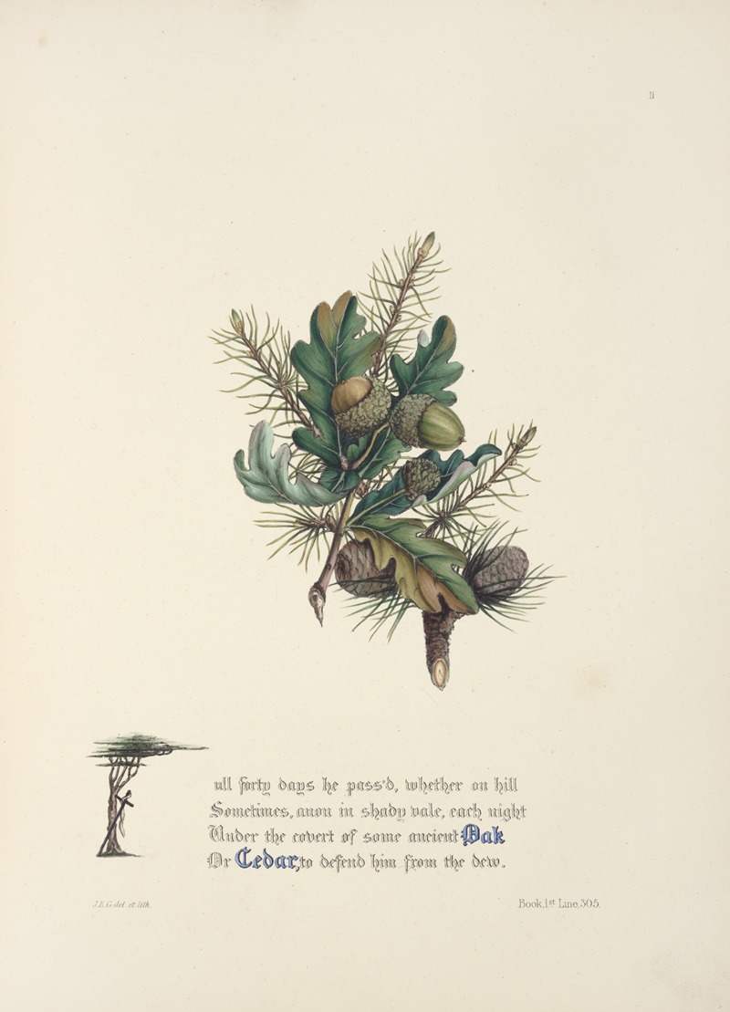 Oak and cedar by Jane Elizabeth Giraud, 1846 — digital art print download