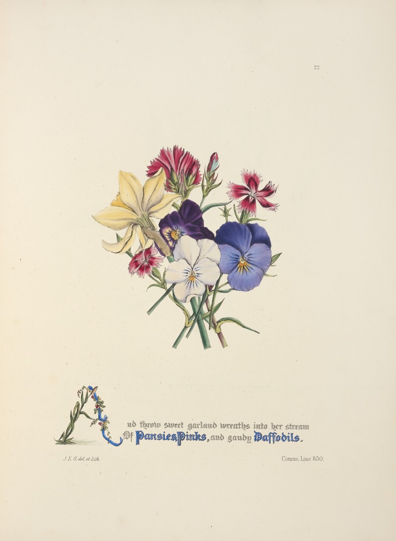 Pansies, pinks and daffodils by Jane Elizabeth Giraud, 1846 — digital art print download