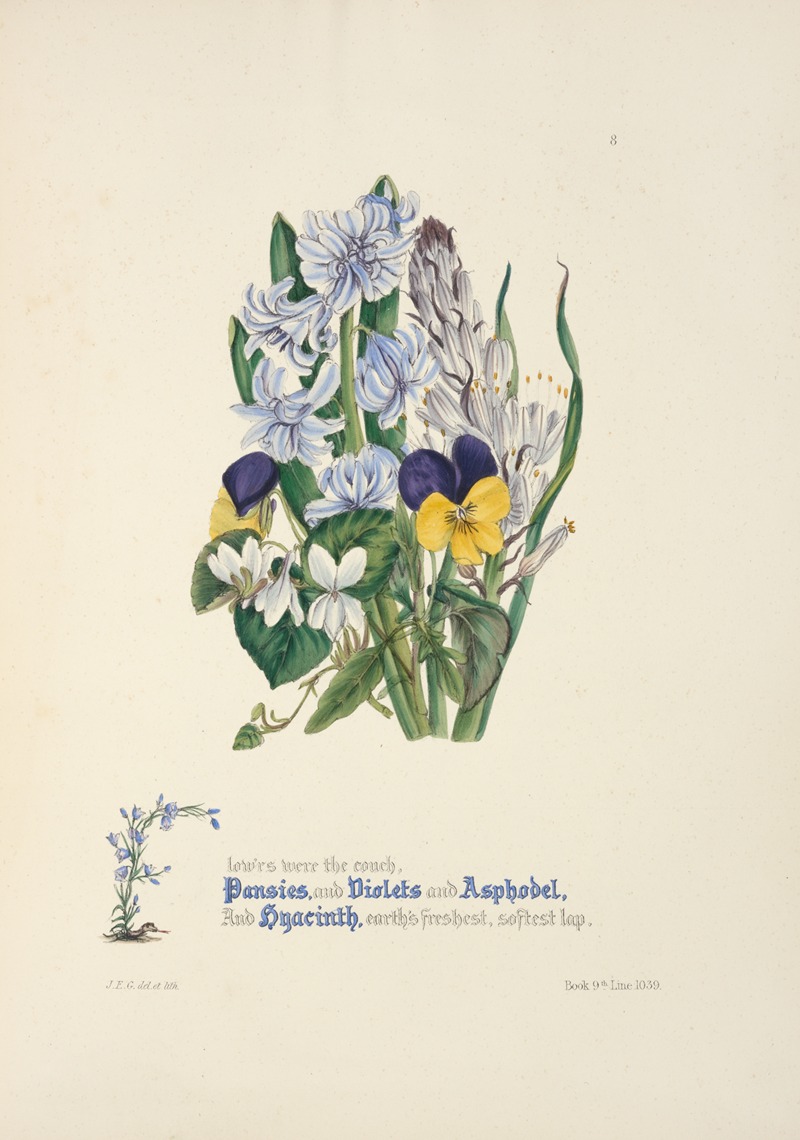 Pansies, violets, asphodel and hyacinth — Jane Elizabeth Giraud
