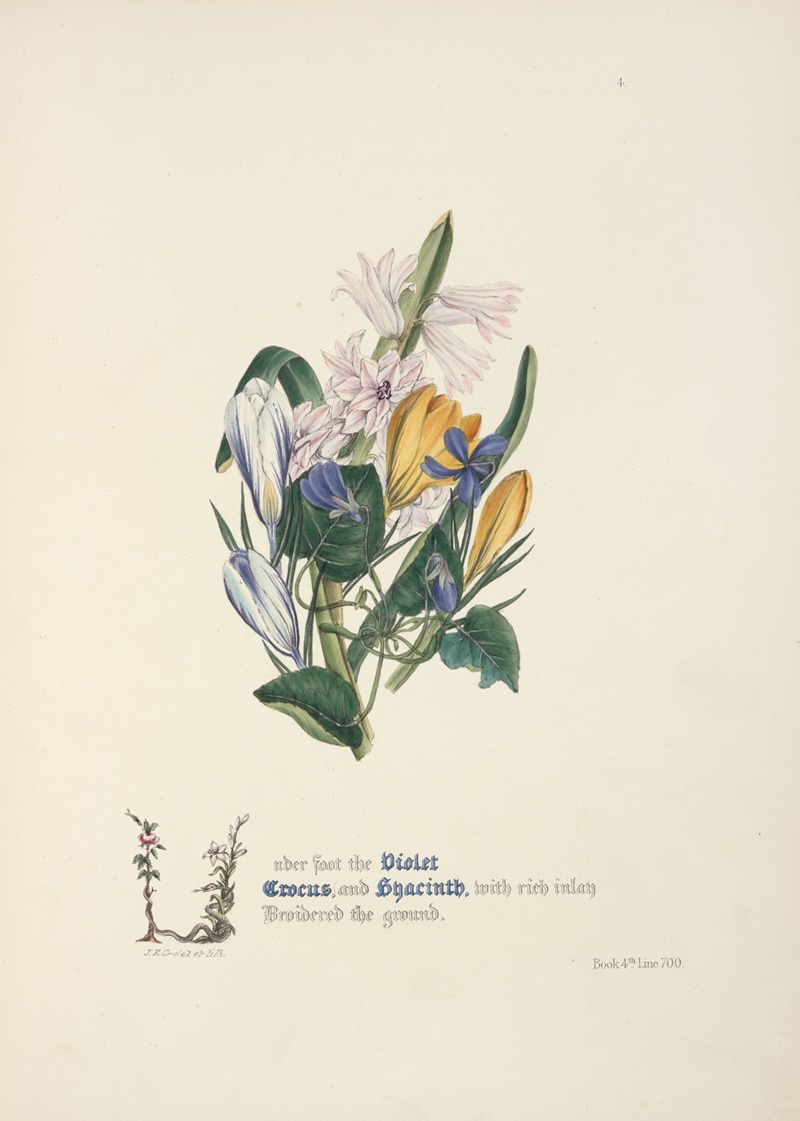 Violet, crocus and hyacinth by Jane Elizabeth Giraud, 1846 — digital art print download