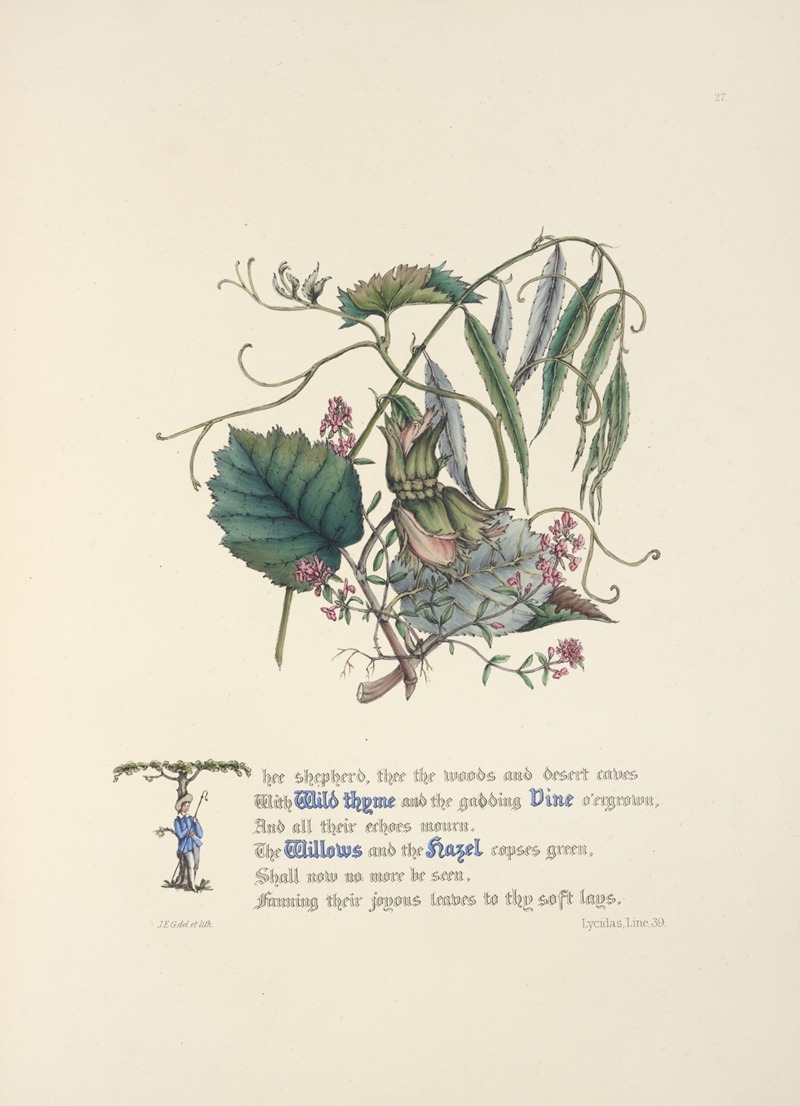 Wild Thyme, Vine, Willows and hazel by Jane Elizabeth Giraud, 1846 — digital art print download