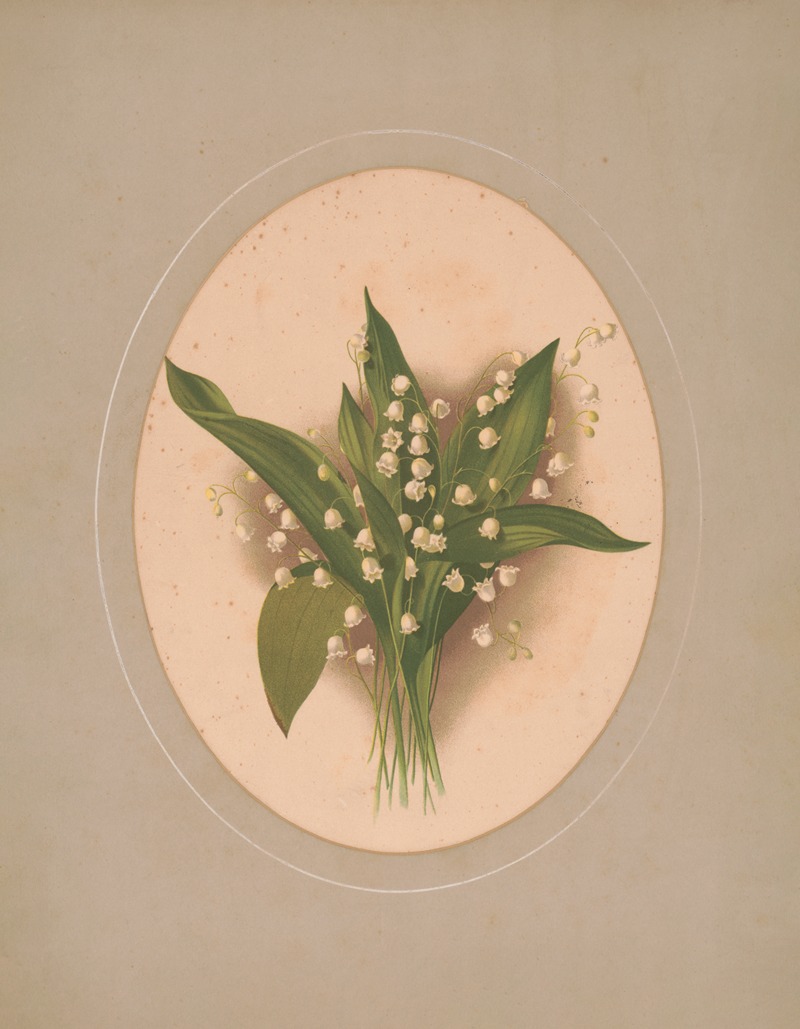 Lilies of the valley — James Fuller Queen