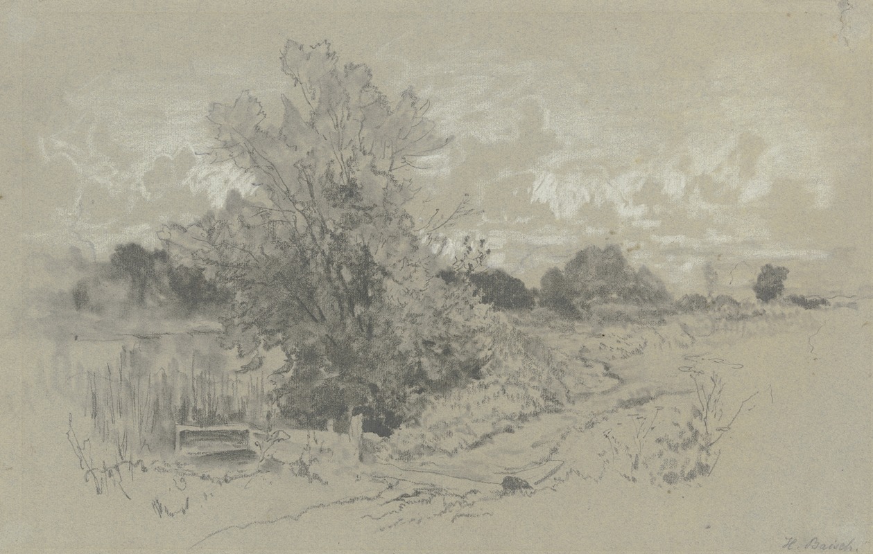 Shrubbery at a pond by Hermann Baisch — digital art print download
