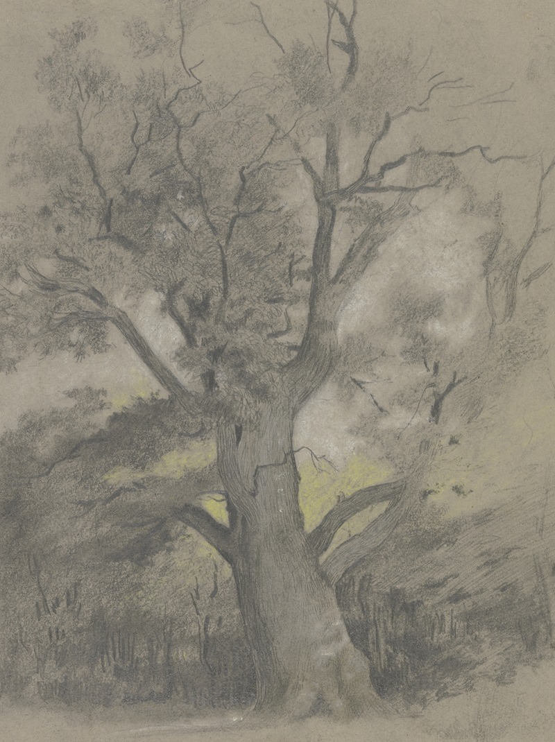 Alte Eiche in einer Waldlichtung by Hermann Gollner — digital art print download
