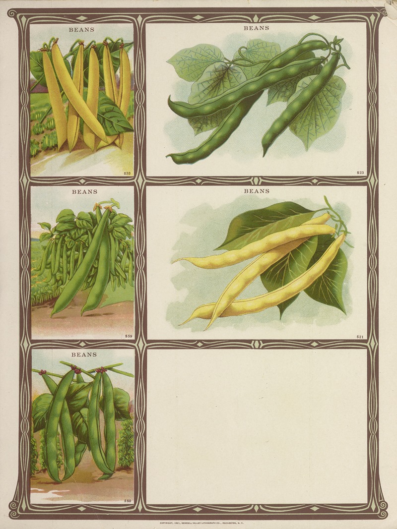 Beans by Genesee Valley Lithograph Co., 1921 — digital art print download