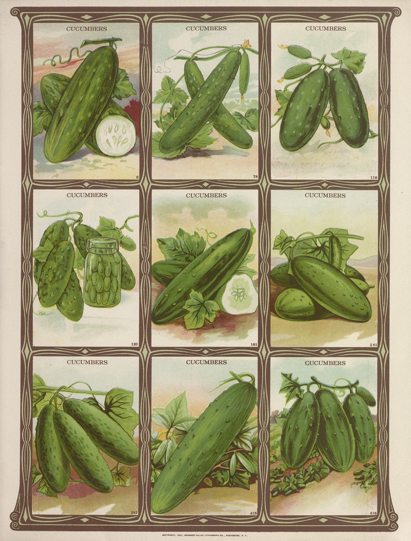 Cucumbers by Genesee Valley Lithograph Co., 1921 — digital art print download