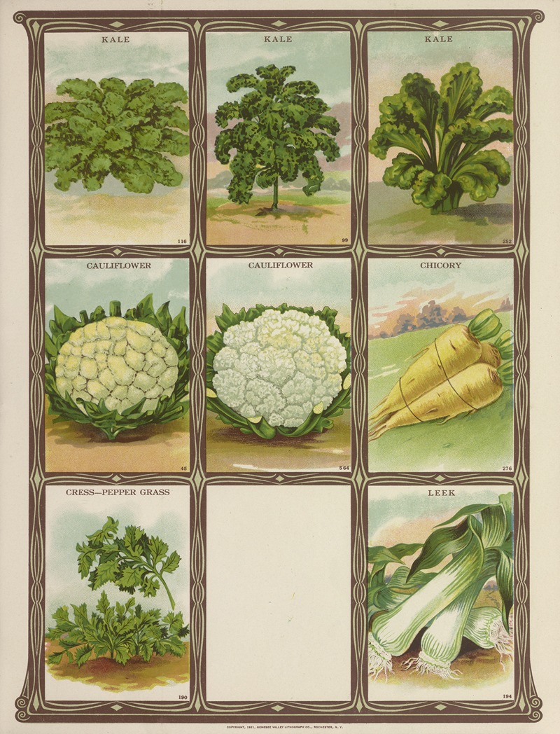 Kale, Cauliflower, Chicory, Cress, Leek by Genesee Valley Lithograph Co., 1921 — digital art print download