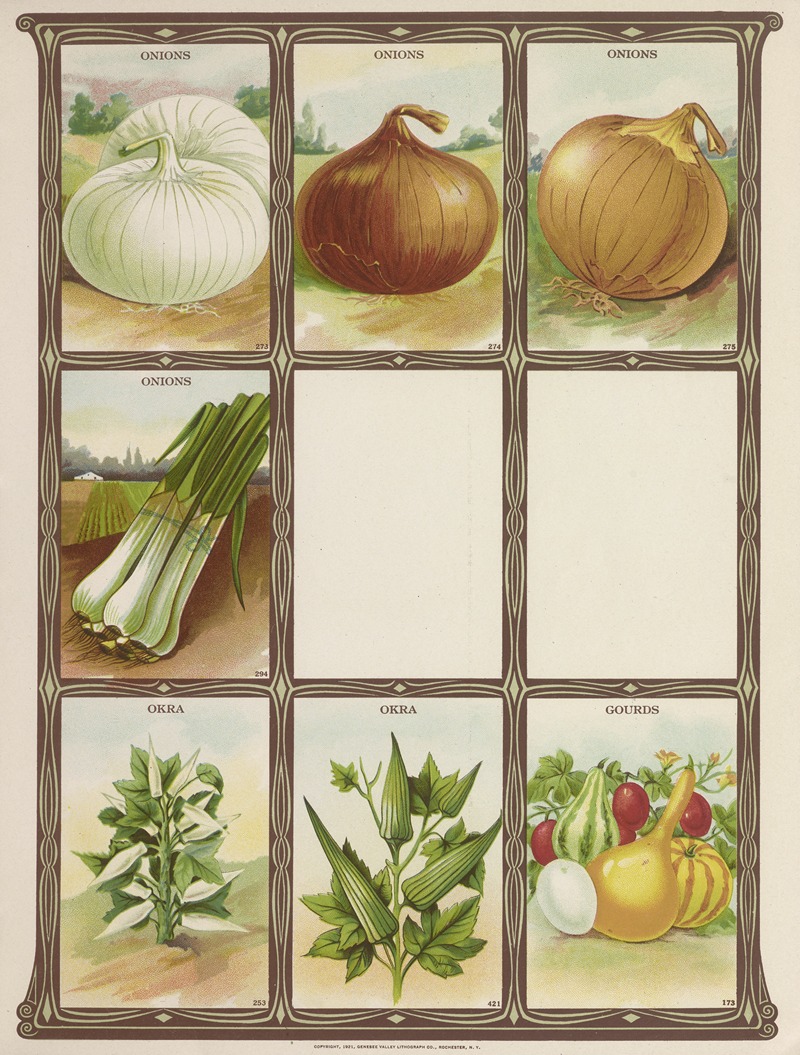 Onions, Okra, Gourds by Genesee Valley Lithograph Co., 1921 — digital art print download