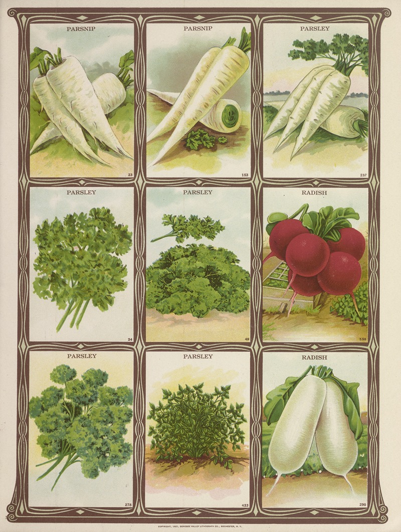 Parsnip, Parsley, Radish by Genesee Valley Lithograph Co., 1921 — digital art print download