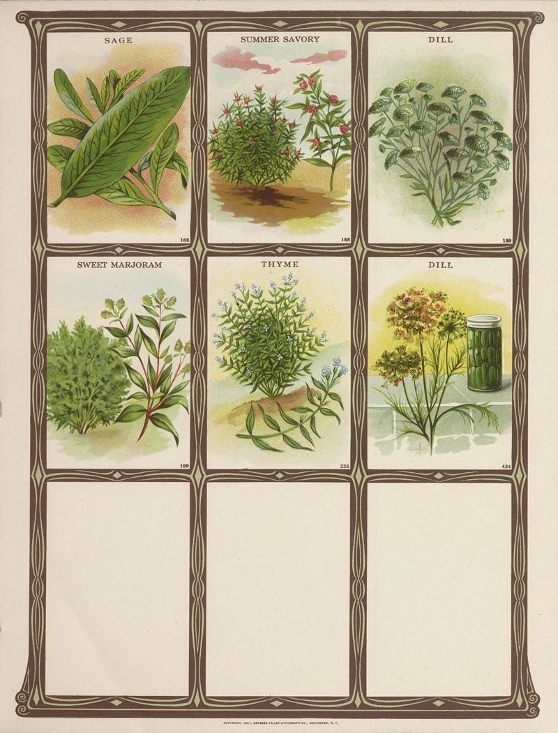 Sage, Summer Savory, Dill, Summer Marjoram, Thyme — Genesee Valley Lithograph Co.