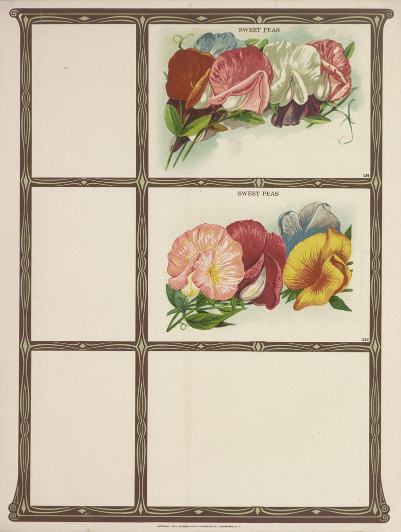 Sweet Peas by Genesee Valley Lithograph Co., 1921 — digital art print download