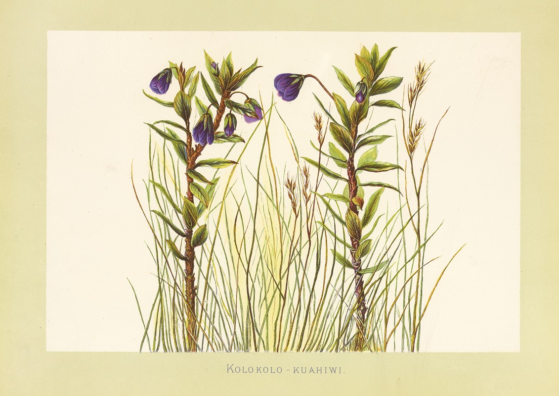 Kolokolo-Kuahiwi by Isabella McHutcheson Sinclair, 1885 — digital art print download