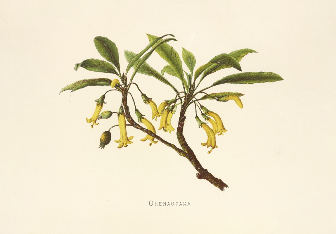Ohenaupaka by Isabella McHutcheson Sinclair, 1885 — digital art print download