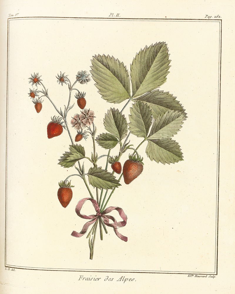 Traité des arbres fruitiers Pl.32 — Henri-Louis Duhamel du Monceau